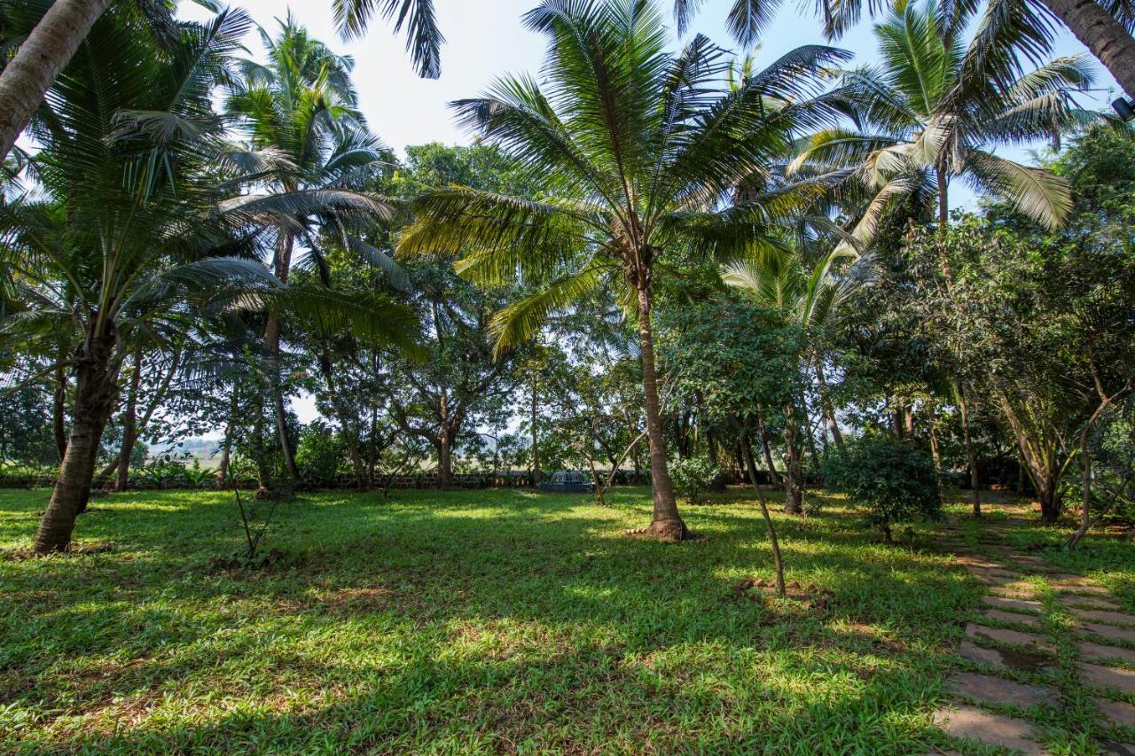 Rosastays South Goa Кавелоссим Экстерьер фото